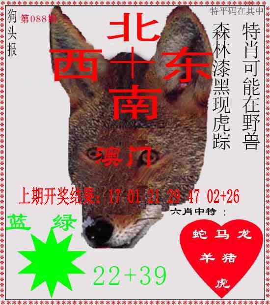 088期狗头报[图]